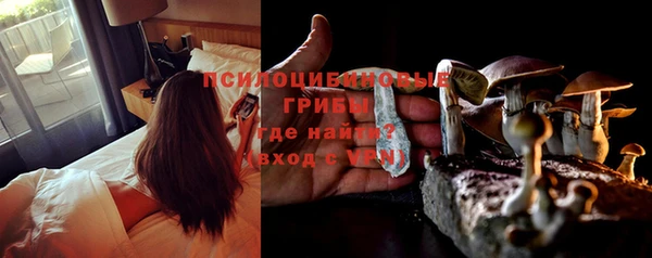 крисы Балахна