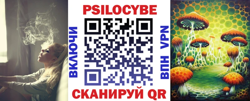 где купить   Чекалин  Галлюциногенные грибы Cubensis 